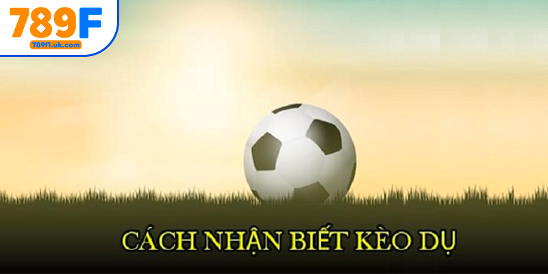 Nhận biết kèo dụ là gì và nắm chắc các tỷ lệ kèo