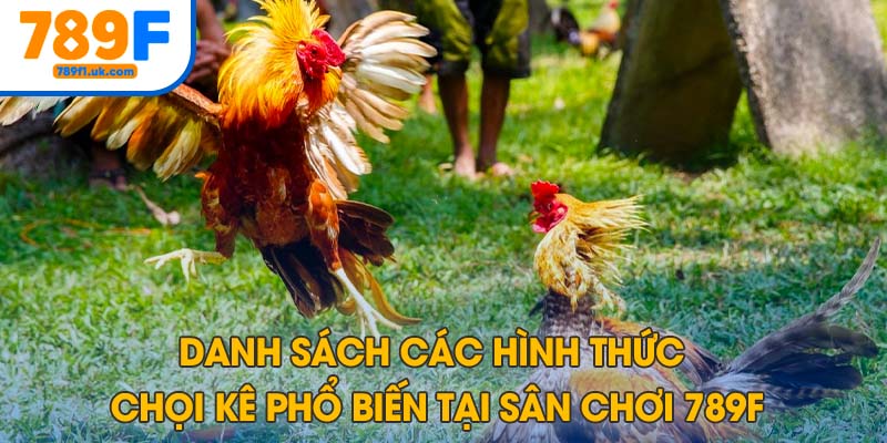 Danh sách các hình thức chọi kê phổ biến 
