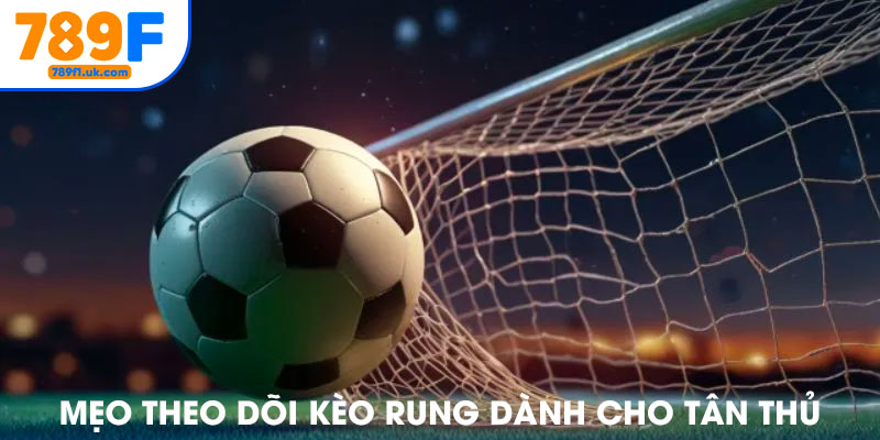Mẹo theo dõi kèo rung dành cho cược thủ