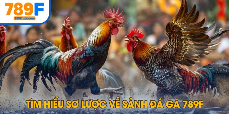 Tìm hiểu sơ lược về sảnh đá gà 789F